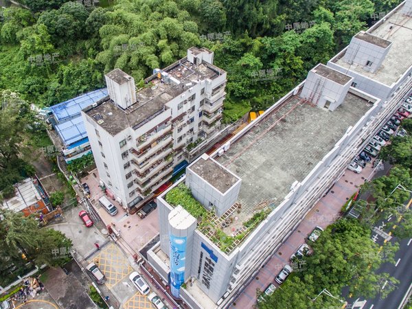 深圳盐田沙头角供电局综合楼出租中 地铁口精装三房,壹海城和保税区旁