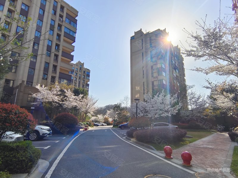 明发云庭3室2厅2卫127㎡南北250万