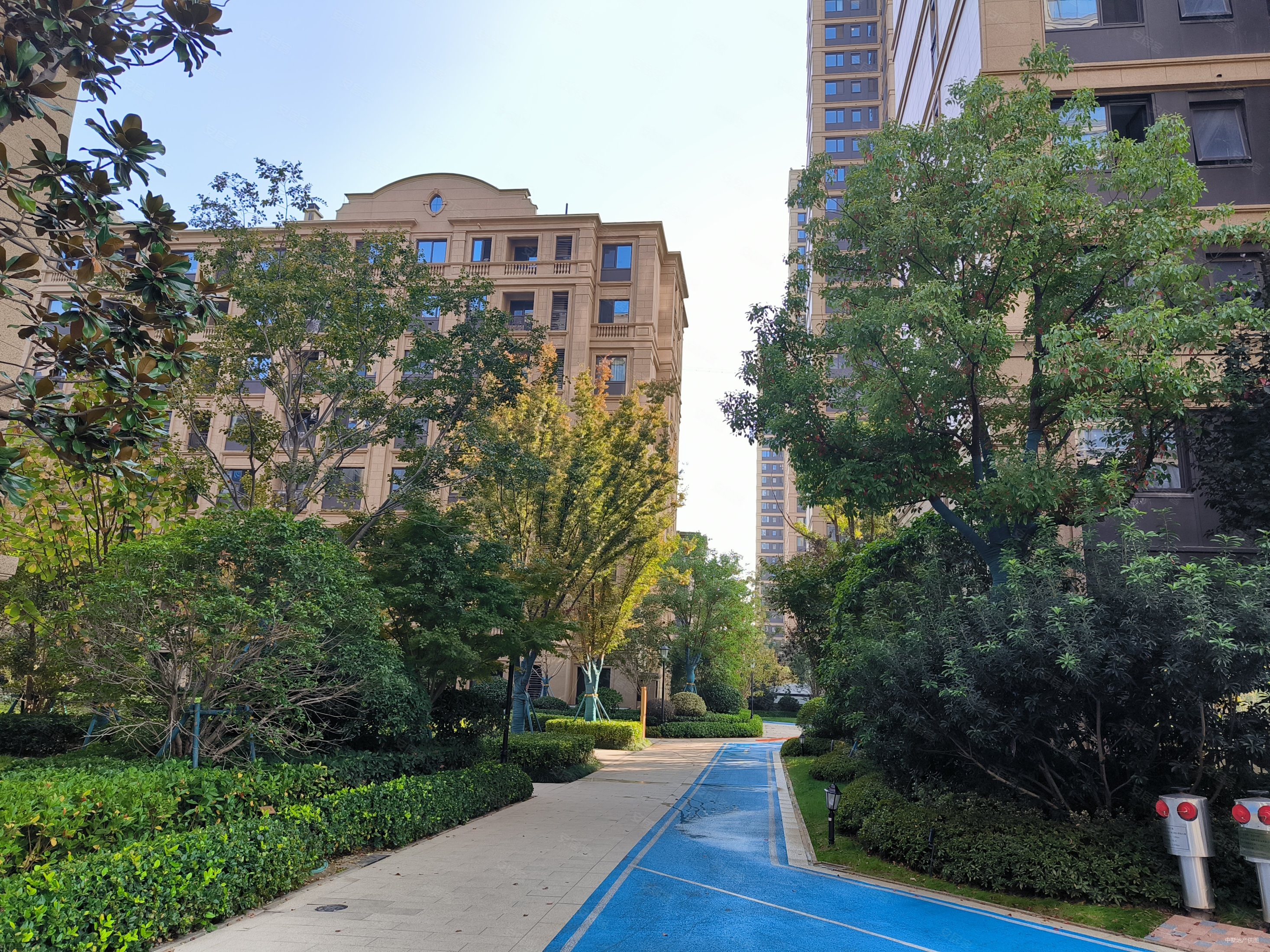 合肥房产网>合肥二手房>滨湖新区二手房>新省府二手房>禹洲绿城兰园>