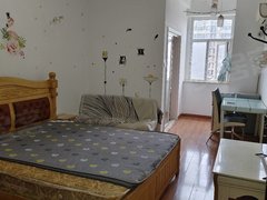 武汉黄陂盘龙城奥特莱斯V公寓 1室1厅1卫  电梯房 精装修40平米出租房源真实图片