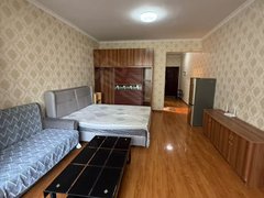 拉萨堆龙德庆拉萨火车站海亮天城精装拎包入住1室，随时看房，小区停车免费出租房源真实图片