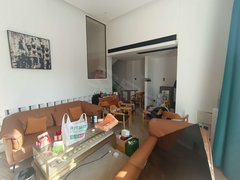 合肥蜀山黄潜望维也纳森林花园(别墅) 合肥全城 别墅大平层 办供接待住家出租房源真实图片