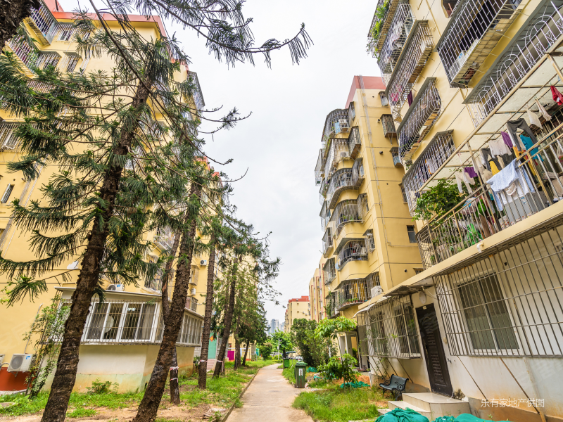 四海公园旁近指导价大三房靠近育才和花园城商圈