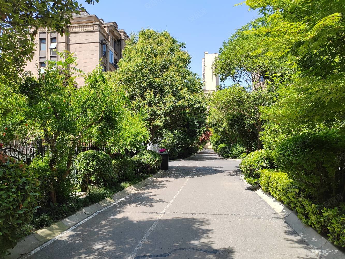 绿地香树花城5室2厅3卫275㎡南北510万