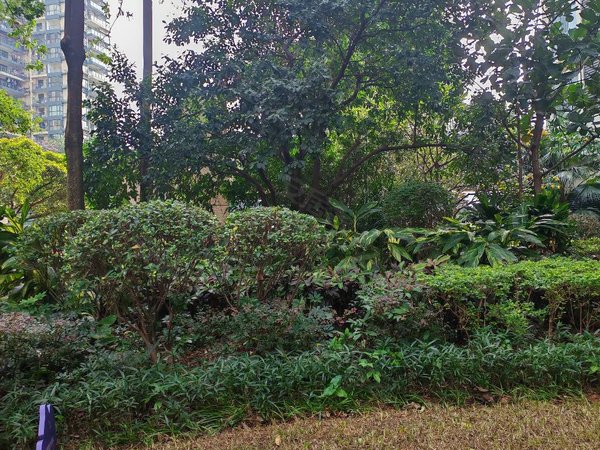 深圳宝安沙井西荟城三期西荟城新上精装3房,业主急租出租房源真实图片