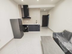 河池宜州宜州城区豪门时代附近电梯一房一厅，房子全新装修，全新家电家具齐全！出租房源真实图片