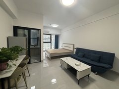 益阳赫山太古城福中福板块精装现代风公寓 宝基广场出租房源真实图片