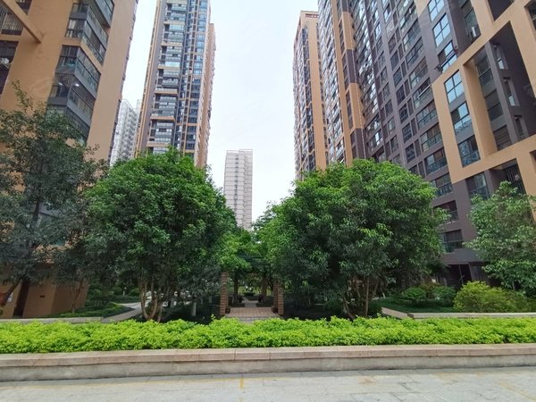 【多图】联发臻品,东葛路租房,民族广场后面 高档小区 联发臻品 精