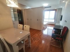 南湖国际社区 精装单身公寓 拎包入住 家电齐全 随时看房