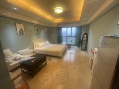 海宁海宁市区海洲银泰城公寓精装修一室一厅一卫多套可看出租房源真实图片