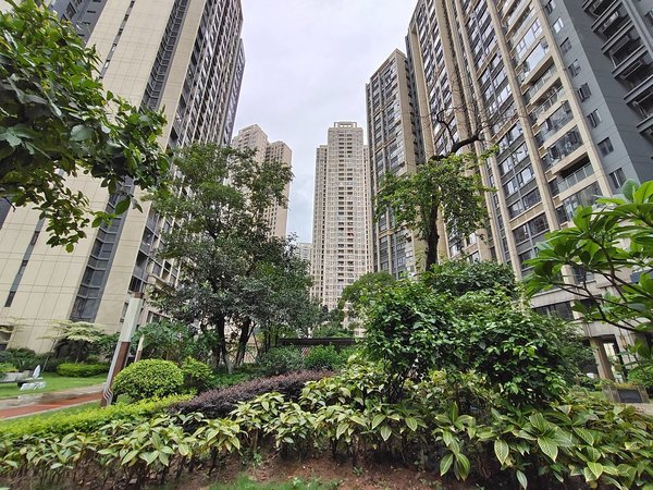 广州荔湾广钢新城振业天颂振业天颂 2室  靓装修 花园小区 送超大平台