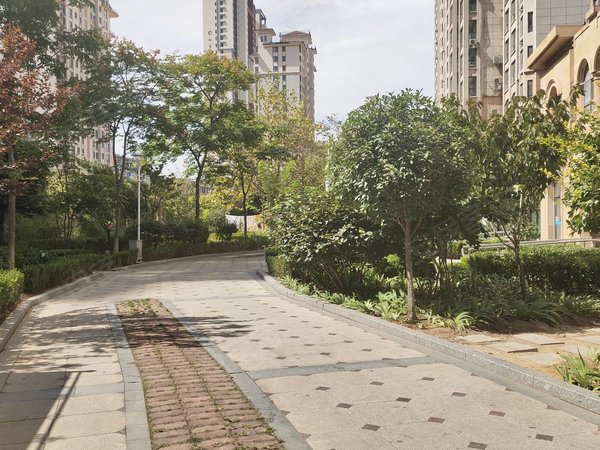 实验中学 江山路一小 峨眉山路小区 盛世江山出租房源真实图片