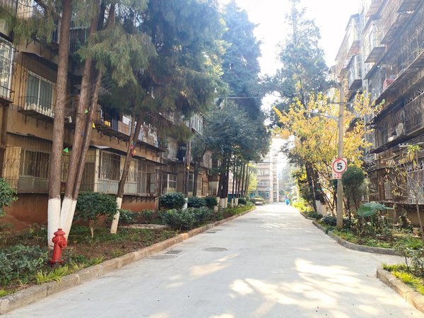 小西门 市体育馆地铁口 云大医院 大观商业城旁,五华租房-昆明58安居