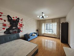 曲靖麒麟南城门南城门市一小中天嘉园精装修温馨小公寓，可短租可月付，拎包入住出租房源真实图片