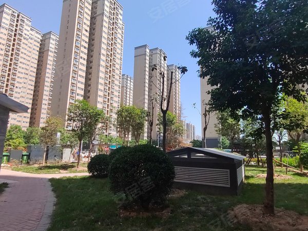 洛阳洛龙大学城龙跃小区整租丨洛阳龙跃小区 配套完善 精装修 交通