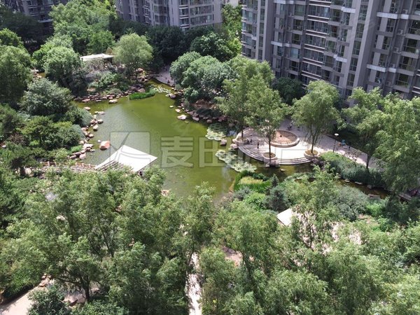 【多图】富力城(d区),双井租房,南北通透 3室2厅 富力城(d区),朝阳