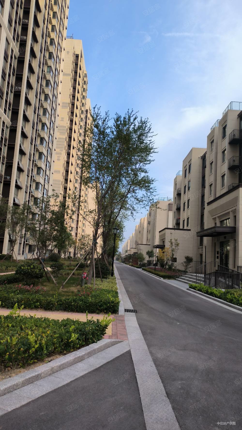 重汽莱蒙湖3室2厅2卫181㎡南北136万