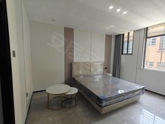 泉州石狮石狮泰禾广场电梯公寓宝盖仑后单间配套出租出租房源真实图片