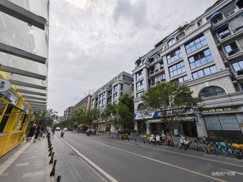 玉林东路 玫瑰园 套二 精装 小区环境好网红街 倪家桥地铁