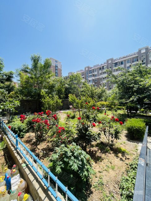 蓝山海岸一楼带小院 东边户望海山海城 维多利亚 阳光海寓