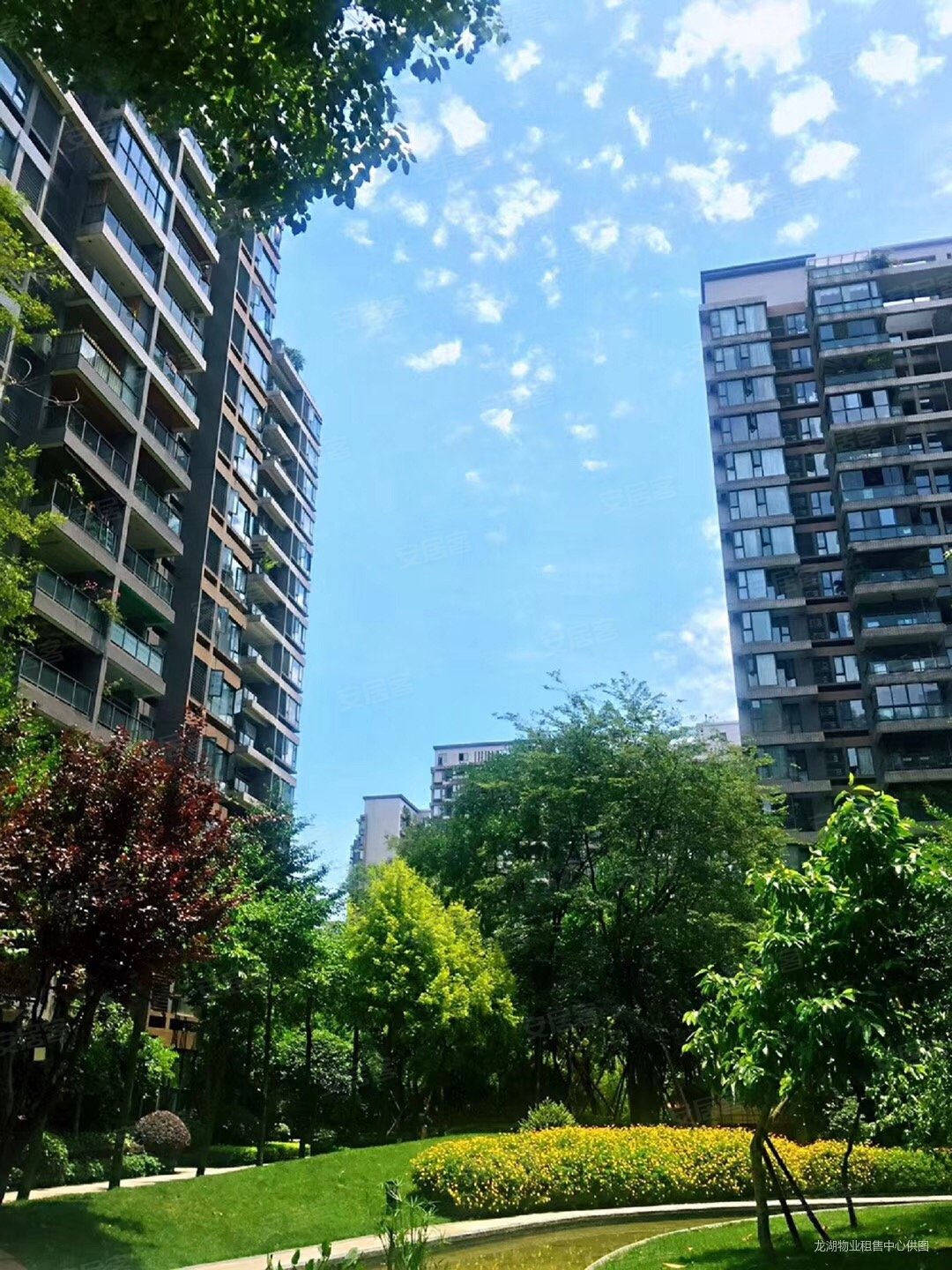 龙湖翠微清波a区3室2厅2卫118㎡南北252万