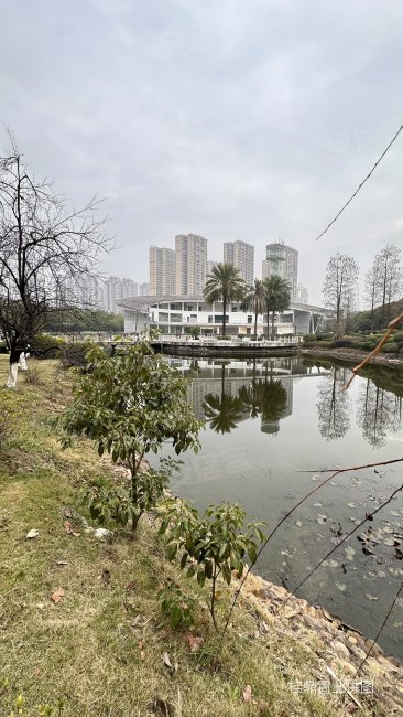 麒麟湾(别墅)5室3厅4卫298㎡南北218万