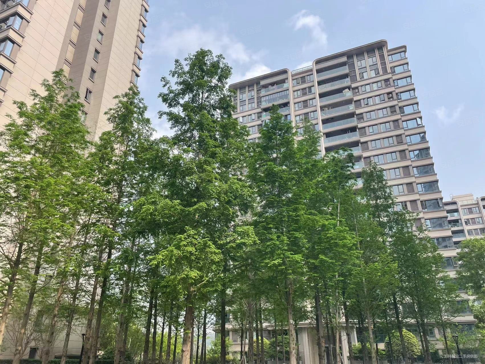 万科17英里一期满五电梯房停车方便