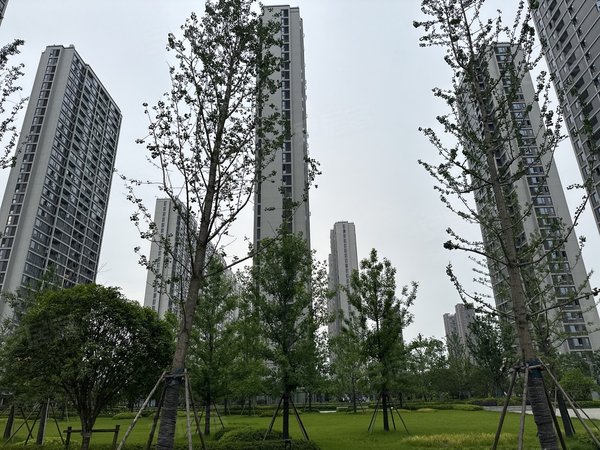 杭州滨江浦沿明乐府滨江地铁口精装原户型两室整租价3500包物业出租