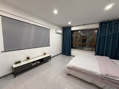 肇东肇东城区肇东市区季度租，月租，荣耀名邸10号公寓12楼，嘎嘎暖和温馨有网精装出租房源真实图片