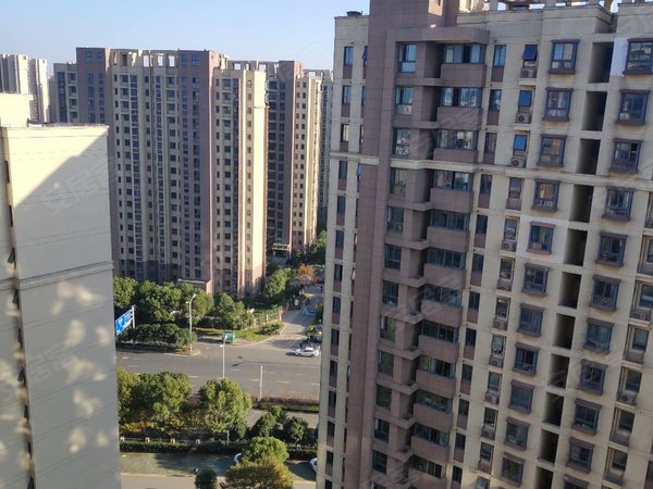 苏州吴中郭巷尹东新村五村与园区一桥之隔,近58同城大厦,纳米科技园.