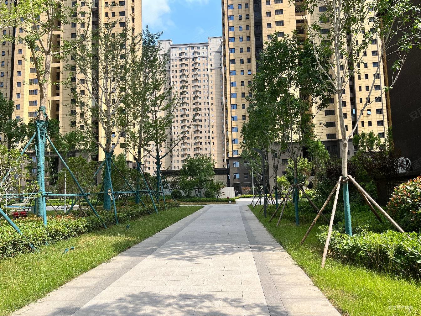 临河观景房 南北通透,凌波苑二手房,98万,3室2厅,2卫,135平米-洛阳