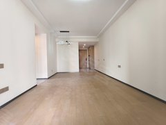 深圳大鹏新区葵涌卓越蔚蓝铂樾府 精装修 3室2厅1卫 电梯房出租房源真实图片