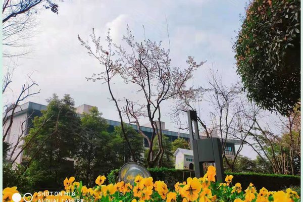 龙湖春森彼岸 1期 北滨一路258号 重庆龙湖春森彼岸 1期 二手房 租房 重庆安居客