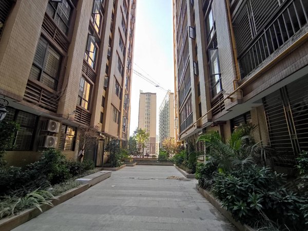 揭阳普宁南平路阳光城(普宁)南园阳光城小区,电梯二房一厅,带厨房阳台