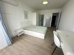 上海徐汇上海南站精装修一房 密码锁 靠15号线价格便宜出租房源真实图片
