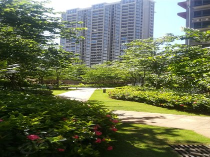 不足,南海阳光怎么样,南海阳光周边房产中介经纪人评价-海口安居客