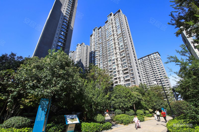 洛阳房产网>洛阳二手房>涧西二手房>牡丹公园二手房>正商城>800_533