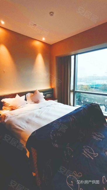 丰隆塔3公寓 高租售比      之  格