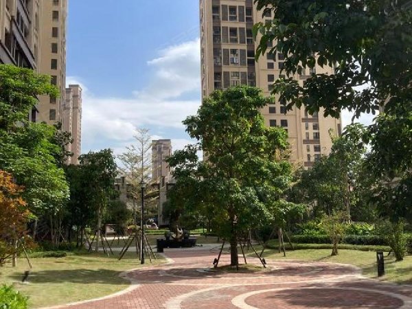 【多图】恒宇国际首府(商住楼),青口租房,单身公寓!独立房间!