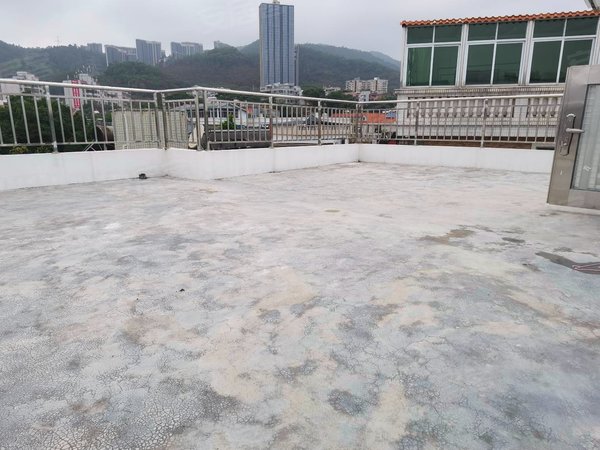 【多图】莲花山庄别墅,布吉街租房,新上莲花山庄别墅,业主已改成上下