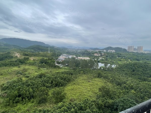 广州花都狮岭金碧御水山庄大户型顶层复式8房,大空间,直播办公场地