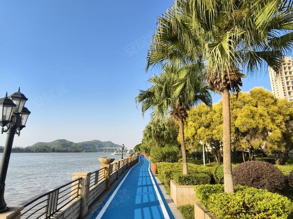 东莞虎门南栅金湾花园虎门金湾花园南北通透海景2房出租出租房源真实