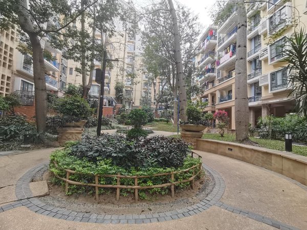 【多图】万科四季花城(北区),坂田租房,出小区就地铁 带电梯二房 空房