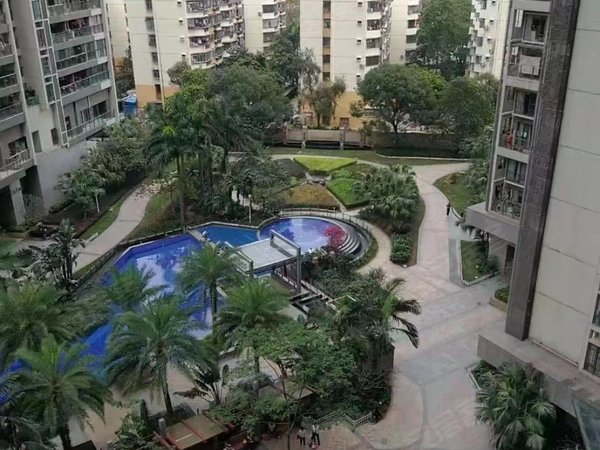 深圳南山南头田厦翡翠明珠花园(商住楼)1号12号线桃园站我田厦翡翠