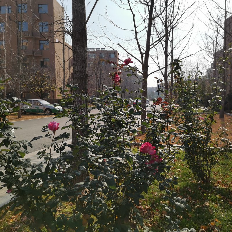 【白鹭湾, 白鹭湾小区详情,房价走势,房源,业主论坛】- 日照58同城