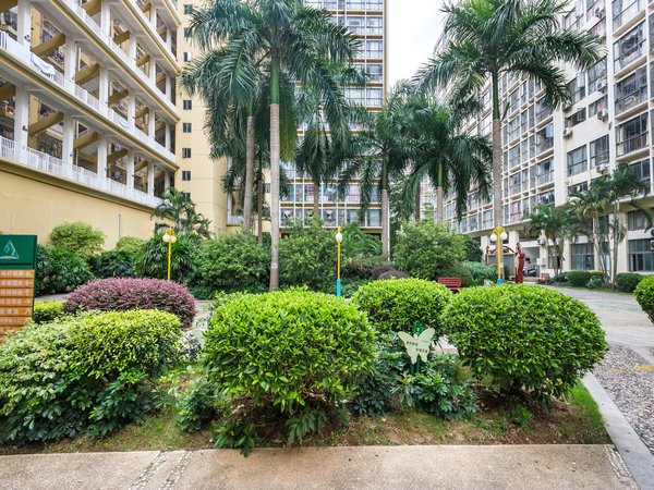 深圳龙华龙华青年城邦园(地铁站口)青年城邦园 1室1厅1卫 电梯房 精