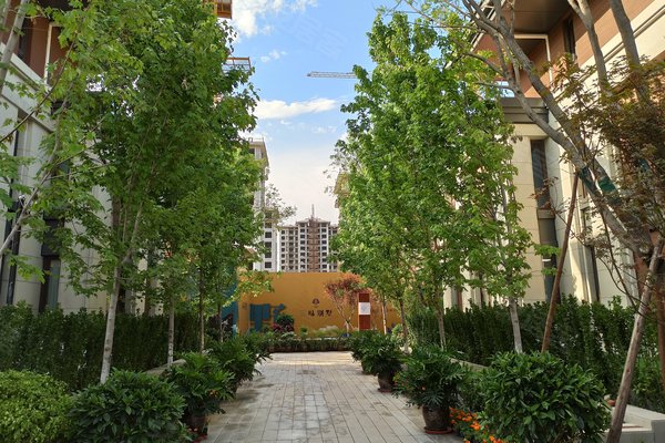 社会山花园一区别墅