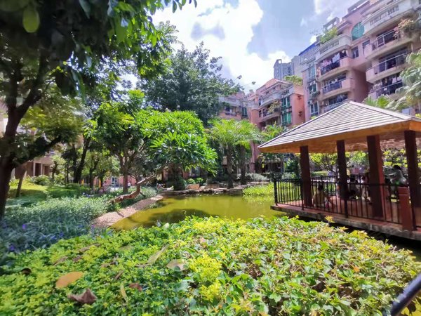 深圳布吉下水径阳光花园5号线下水径站 电梯 大3房2厅2卫 家私家电