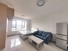 宜春袁州袁州新城高铁站附近,袁州鞋校旁,全新装修,家具家电齐全,拎包入住出租房源真实图片