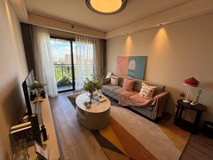 上海闵行春申闵行星河湾 酒店式公寓 星河湾学校 有活动 宠物友好 可短租出租房源真实图片